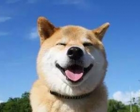 һ�����֪���㲻��ʲô������