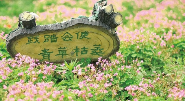 首张践踏草地罚单被开出 随意践踏草地就得罚款!