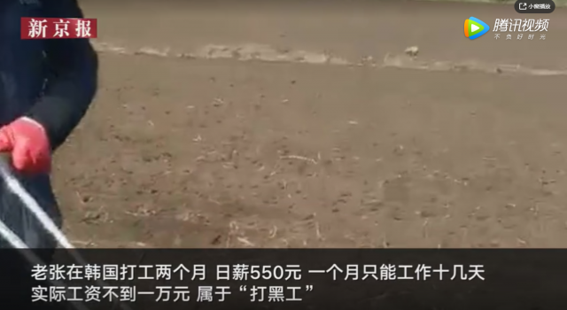 绍兴破获组织他人偷越国境案 全国多人被骗去韩国种萝卜