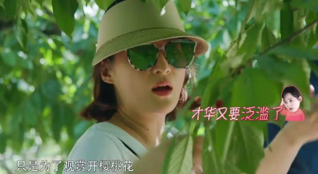 蒋勤勤成完美全能女人,陈建斌却有了失落感