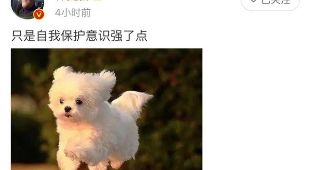 陈翔毛晓彤的料?灵超太糊了?黄子韬强捧徐艺洋?吴宣仪?