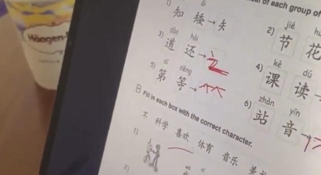 张柏芝二儿子罕曝光,侧脸不输谢霆锋,学简体字欲和爸妈来内地?