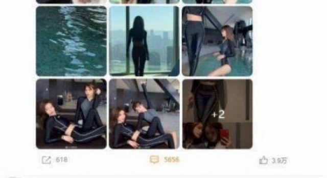 王思聪说的真不怪刘阳是什么意思?王思聪迷上了半藏森林吗?