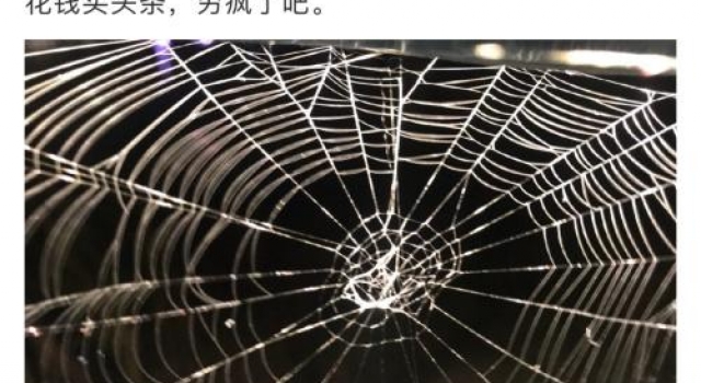 演出信息被限流,老狼发声后音乐圈集体声讨微博:吃相太难看