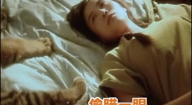 39岁宋佳与老虎同床拍戏,内心恐惧不敢动,曾因插足被骂小三