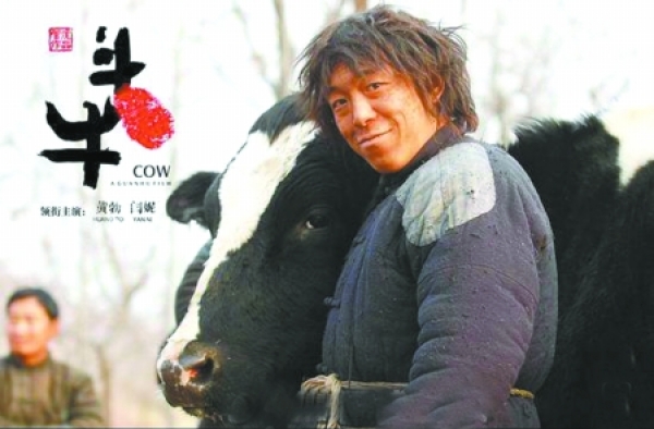 黄渤斗牛拍摄趣事回放 黄渤：和牛演戏令人绝望