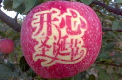 ƽҹƽ176Ԫ :ỨǮ