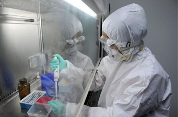 h7n9能治好吗 h7n9禽流感能吃猪肉和鸡肉吗