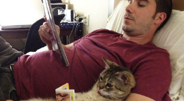 有什么样的主人就有什么样的猫
