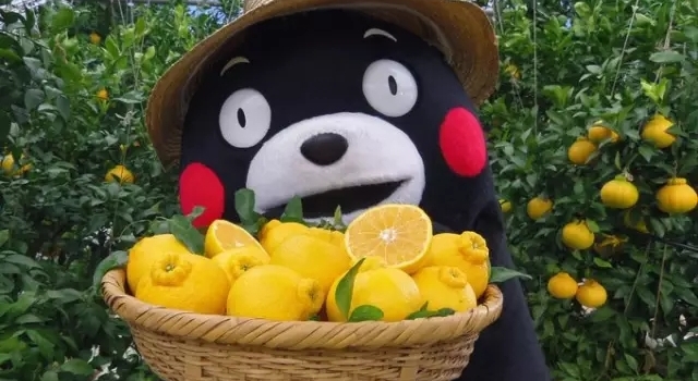 熊本熊，想不到你是这样的熊