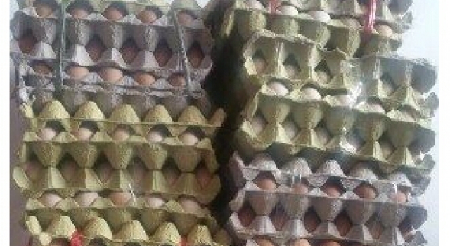 妻子收到产子补品1200枚鸡蛋 先生网上发帖1天全卖光