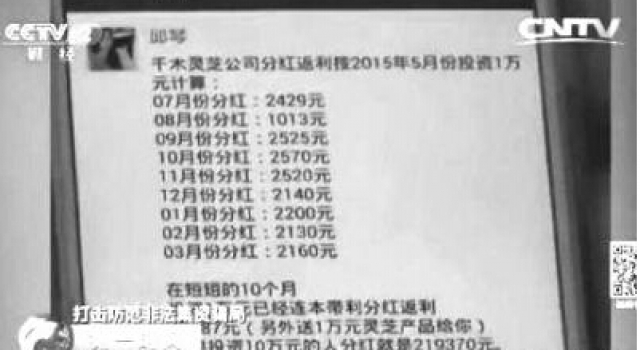 东莞破获“千木灵芝”案：非法吸存41亿 9万人被骗