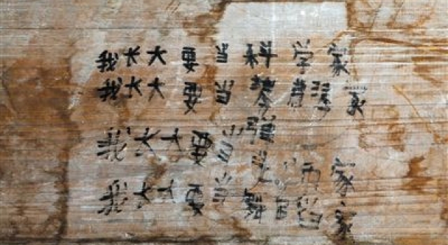湖南11岁艾滋病女孩遭受歧视：只能自己和自己玩