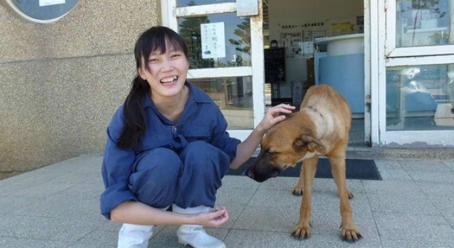台湾女孩服狗安乐药自杀 活在“女屠夫”的流言蜚语中