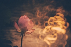 ֮ عµĺɻ