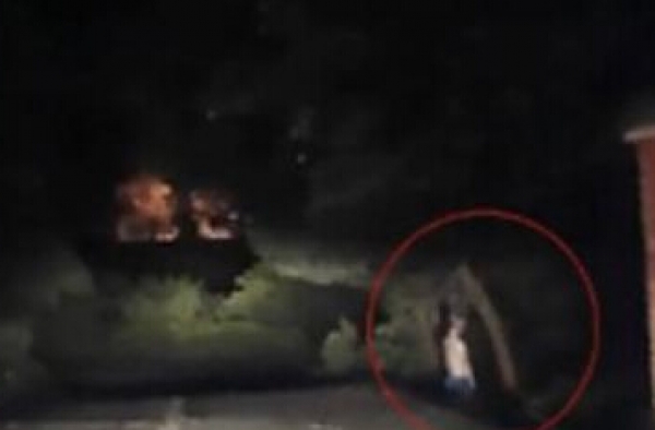 吓尿！男子深夜开车遇一具裸尸挂树上：以为是假人