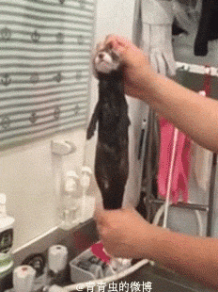 爆笑GIF 如何正确化解尴尬