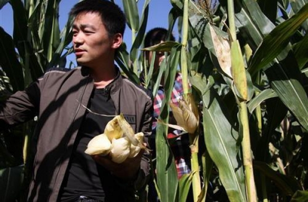 撇开离婚事件 我们来谈谈王宝强这几年