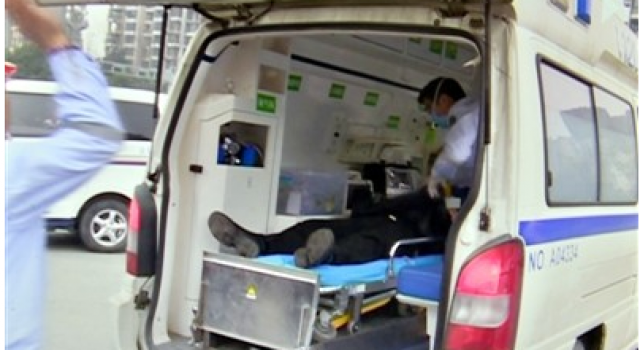 障智！因过年吃太多男子减肥辟谷5天 结果饿晕撞车