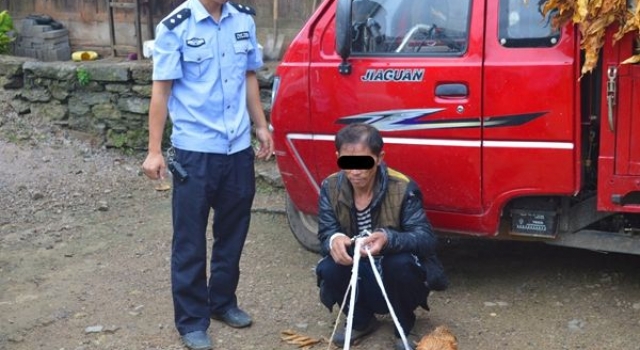看三生三世中毒了！ 吉林两男子偷9只鸡给“狐仙”
