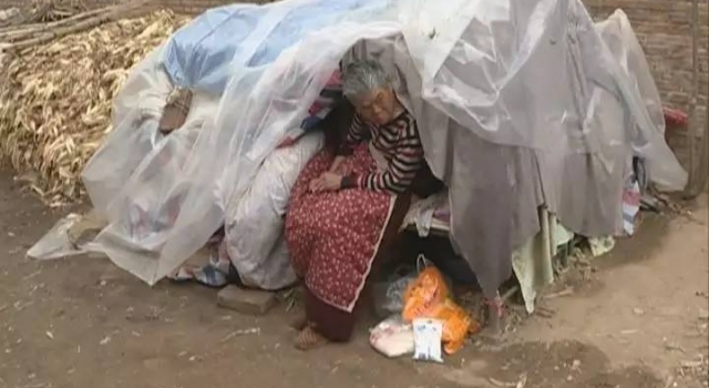 七旬夫妇无奈睡塑料窝棚里食不果腹 儿女为何不敢管？