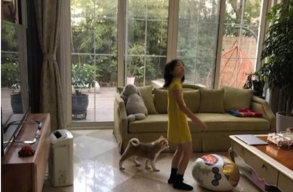 李嫣近照身形似王菲 一条狗曝光李亚鹏豪宅
