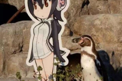 찮϶Ů ЩжǵĶ