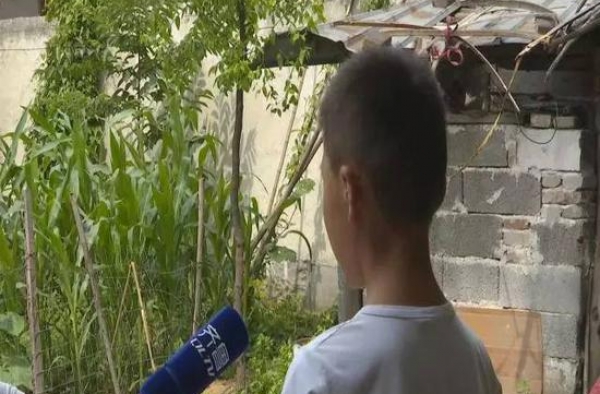 调皮小男孩骂邻居“老娘们” 被扇巴掌后不敢回家