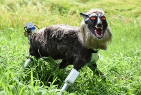 Զ̫ձſ ֱǻֲ