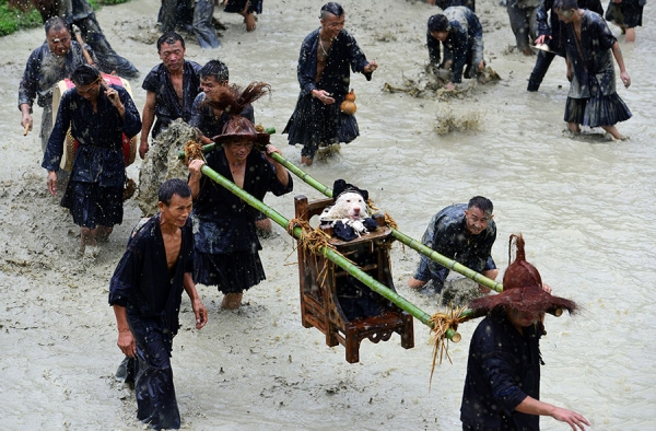 苗族抬狗节热闹非凡 民众跋山涉水祈求风调雨顺