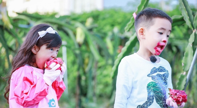 小泡芙模仿Jasper太可爱了 但陈小春模仿才是殿堂级的