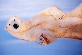 ¼Ƭ ļɻлᵽȥ