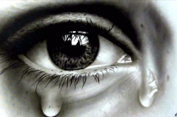 ۾ô ʱҽԷŧ