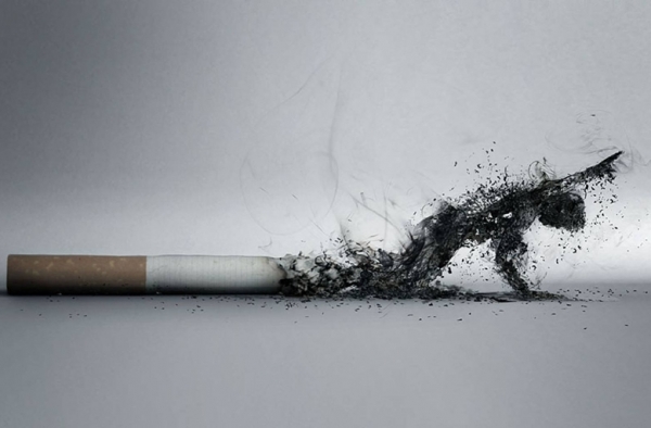 先爆右肺再爆左肺 吸烟的危害不止这一个