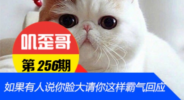 【叽歪哥 V0.256】如果有人说你脸大请你这样霸气回应