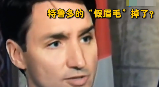 加拿大总理假眉毛掉了？ 可怜的总理是被“恶搞”了？