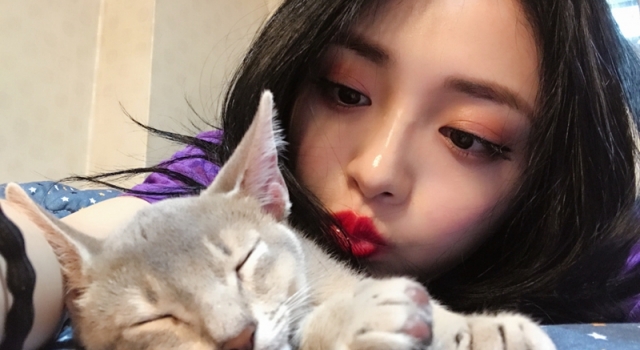 原来周洁琼是资深猫奴 周洁琼猫叫什么名字？