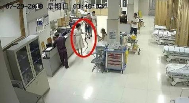 抓活蛇看急诊,彪悍的妹子.网友:你考虑过蛇的感受嘛?