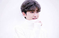 ĸܾTFboys Ͷ