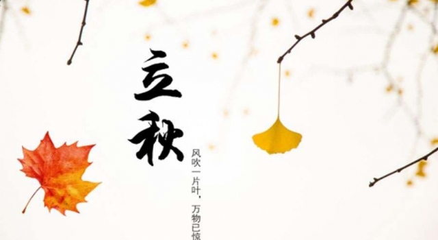 欣赏立秋佳句美文 落叶纷飞到立秋，烦恼随风心无忧