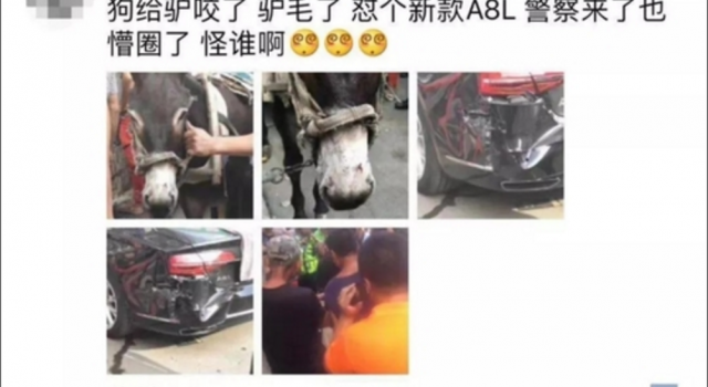 驴被咬受惊踢奥迪 细节曝光令人哭笑不得 警察也蒙圈！