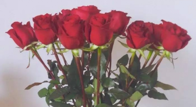七夕表白送什么花好？这些花语你都知道吗