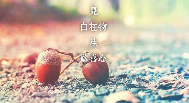深夜鸡汤人生句子 发朋友圈必备看看哪句话能走进你心里
