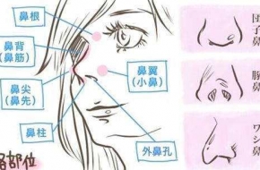 整容低龄化调查 你和美女的距离真不只差一个双眼皮！