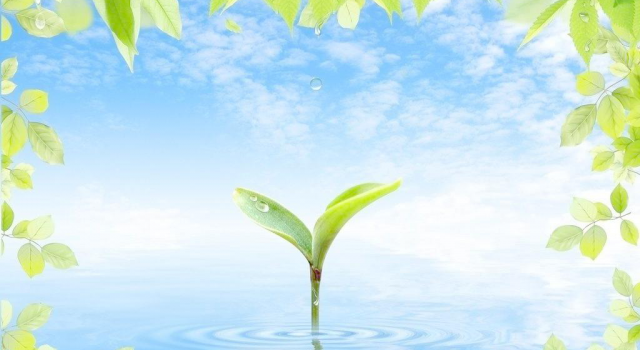 又是一年世界清洁日 环保公益,一起见＂圾＂行事!