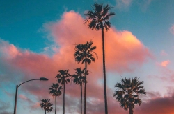 ҽѲ ʲô˲ѣ