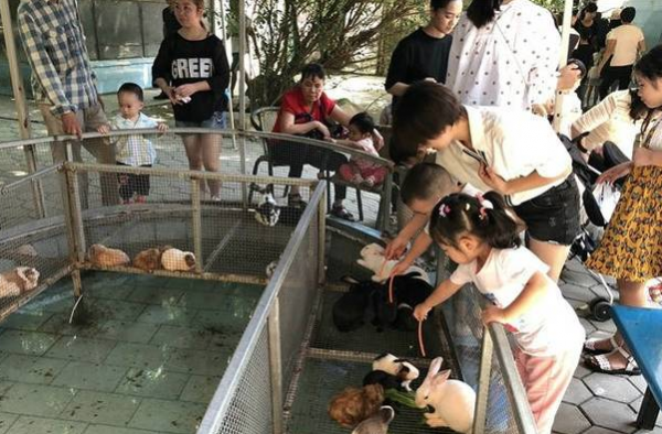 无赖家长 没人提醒我兔子会咬人 耍无赖请不要在孩子面前