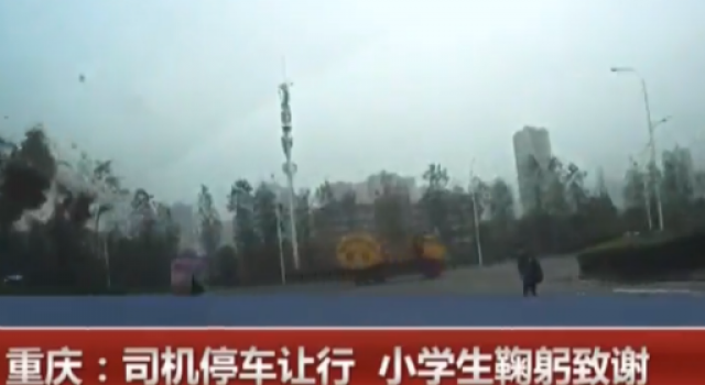 小学生向司机鞠躬是怎么回事?为什么要对司机鞠躬呢?