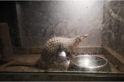 �����ƻ�ɽ�װ���ô���£�û��������û��ɱ��