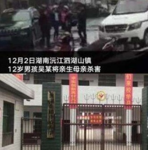 男孩弑母后被释放怎么回事？返校却遭学生家长集体反对